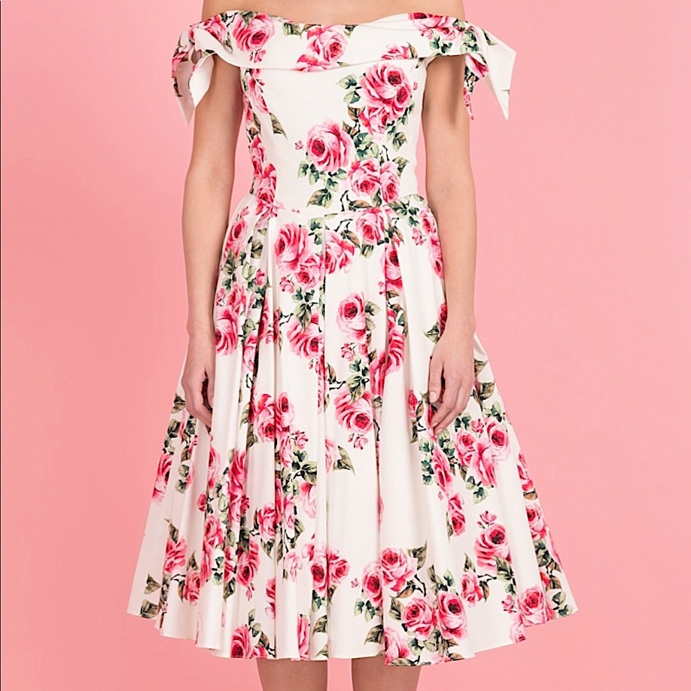 EUC Tilly Vintage Rose Prom Dress 💗